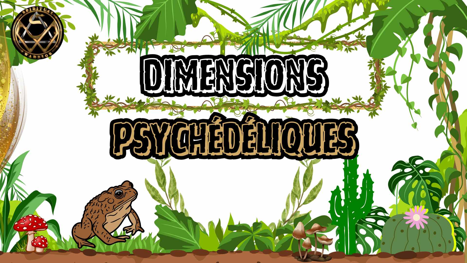 Dimensions PsycheÌdeÌliques Dimensions PsycheÌdeÌliques