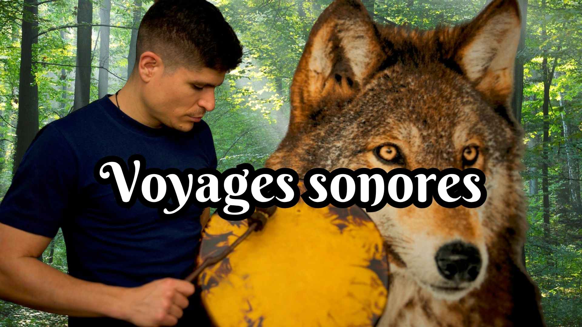 Voyage sonore